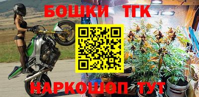 стафф Ливны