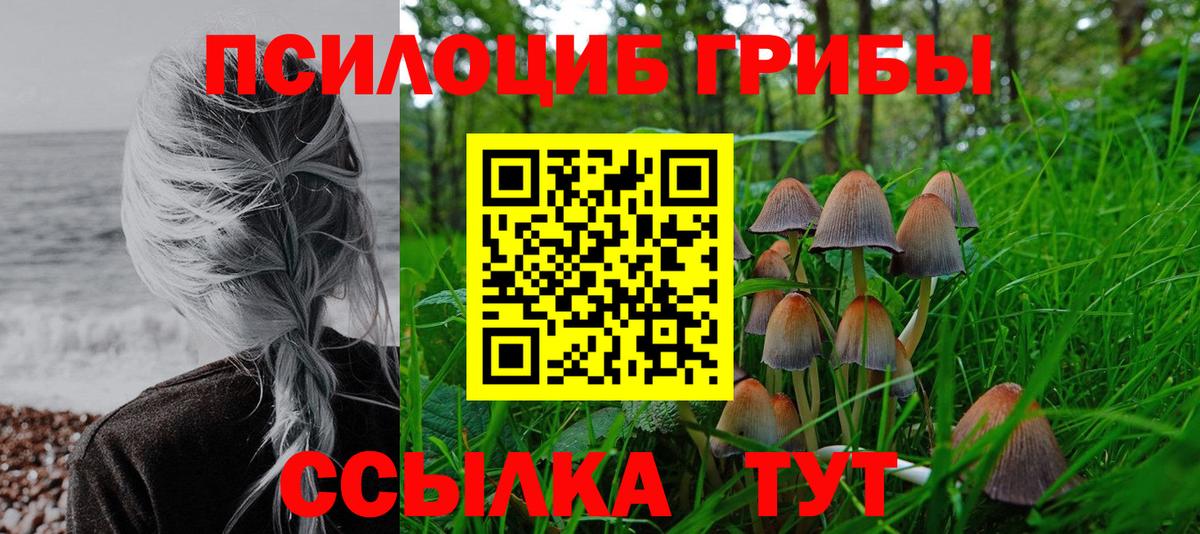 Псилоцибиновые грибы Psilocybine cubensis Ишим