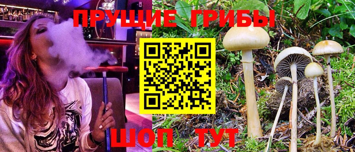 Псилоцибиновые грибы мицелий  Вход с VPN  Ишим 